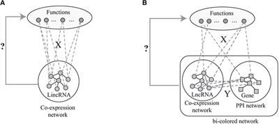 Multiple Partial Regularized Nonnegative Matrix Factorization for Predicting Ontological Functions of lncRNAs